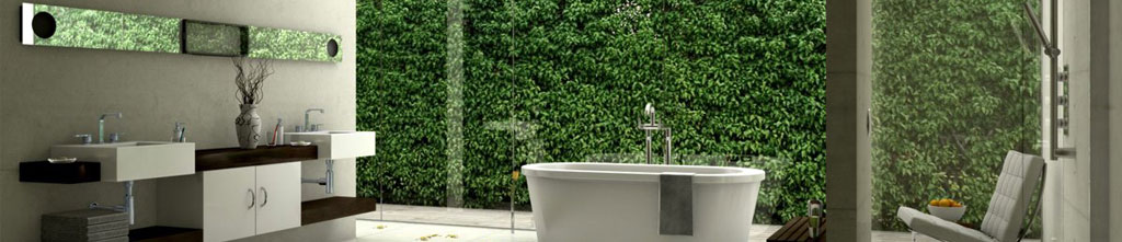 Tub & Shower Fixtures