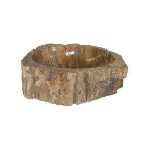 Eden Bath EB_S028PW-P Most Unique Natural Stone Sink - Petrified Wood