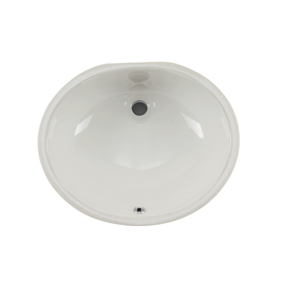 Cahaba CA425V15 Biscuit Or White Glazed Porcelain Bathroom Sink