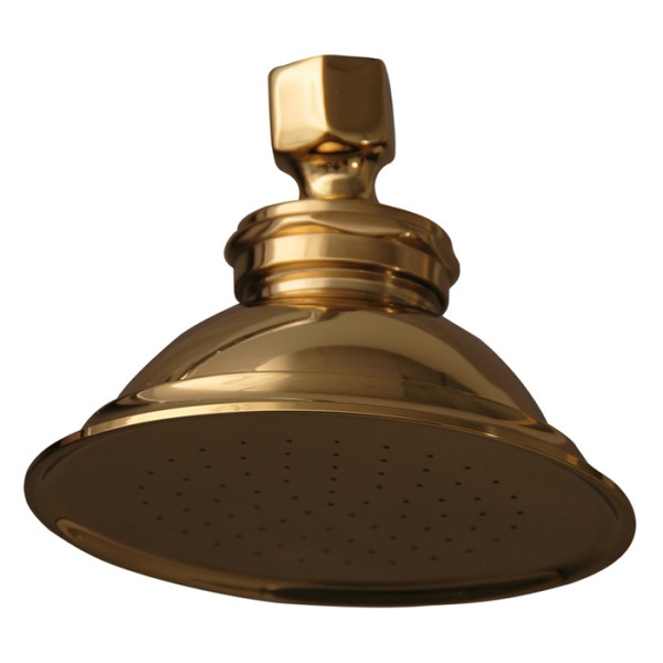 Barclay 5591 Sprinkler Can Shower Head