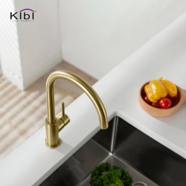 KIBI KKF2001BG Lowa Single Handle Bar Sink Faucet