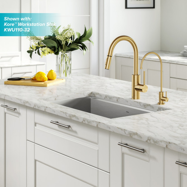 Kraus KPF-2620-FF-100 Pull-Down Kitchen Faucet and Water Filter Faucet Combo