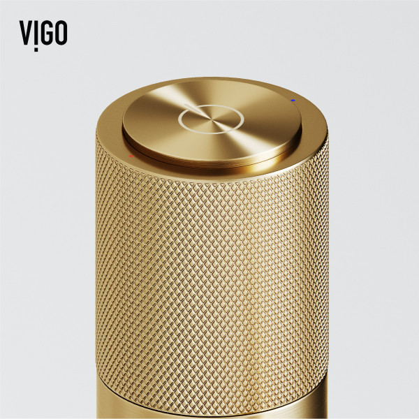 VIGO VG03031MG Button Operated Single-Hole Vessel Faucet in Matte Brushed Gold
