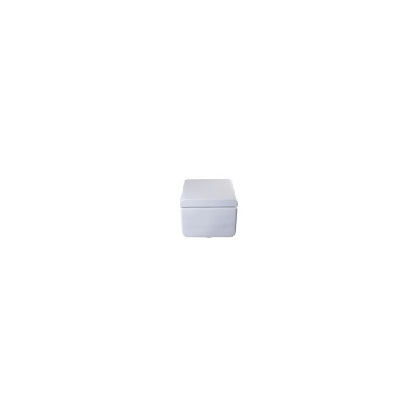 EAGO WD333 Square Modern Wall Mount Dual Flush Toilet Bowl