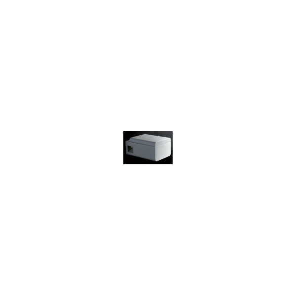 EAGO WD333 Square Modern Wall Mount Dual Flush Toilet Bowl